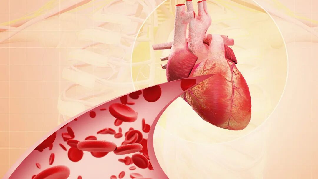 一个0成本保养血管的好方法，很多人都忽略了！高血压、冠心病患者，建议天天做